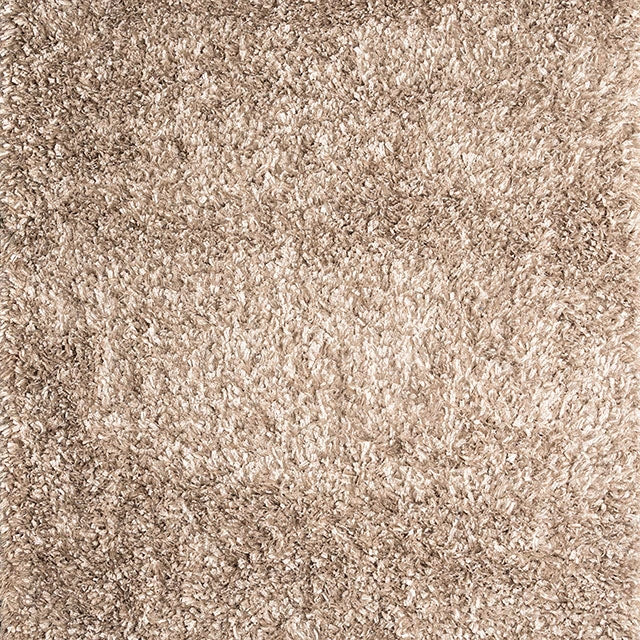 Annmarie X Area Rug